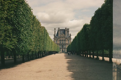 a walkway lined with trees leading to a large building