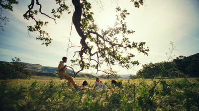 a group of people sitting in a field under a tree