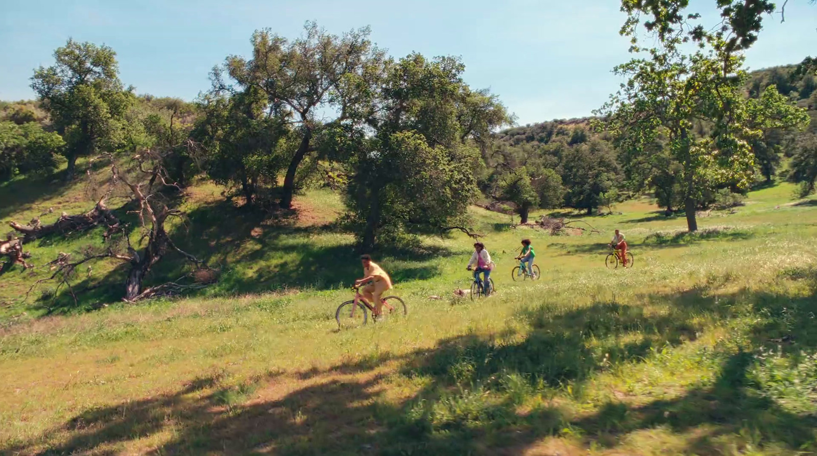 a group of people riding bikes on a lush green hillside