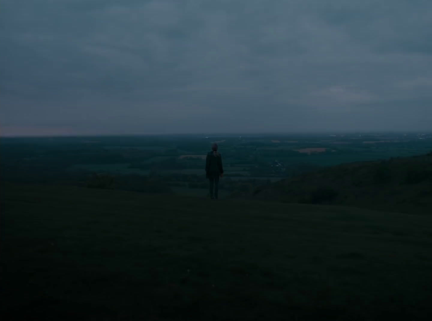 a person standing on top of a lush green hillside