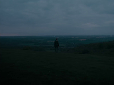 a person standing on top of a lush green hillside