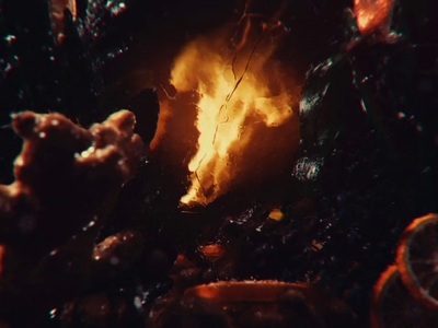 a close up of a fire burning in a fireplace