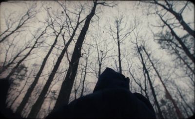 a person standing in front of a group of trees