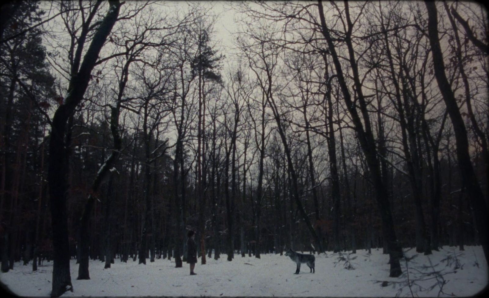 a person and a dog in a snowy forest