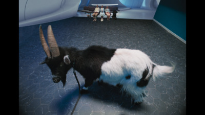 a goat with long horns standing in a room