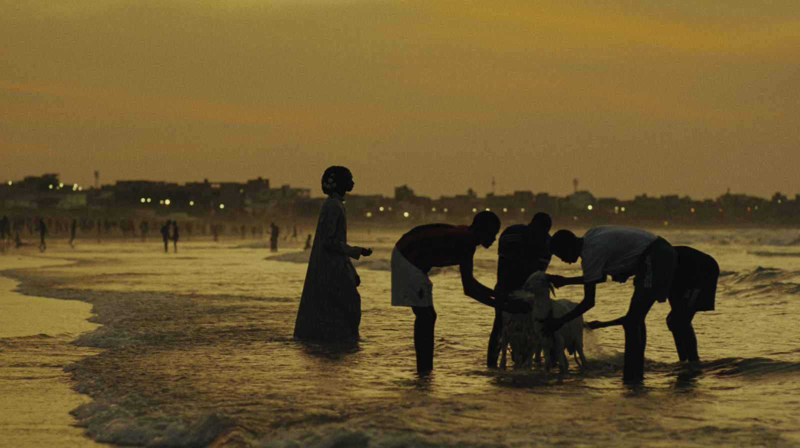 a group of people standing on top of a beach next to the ocean