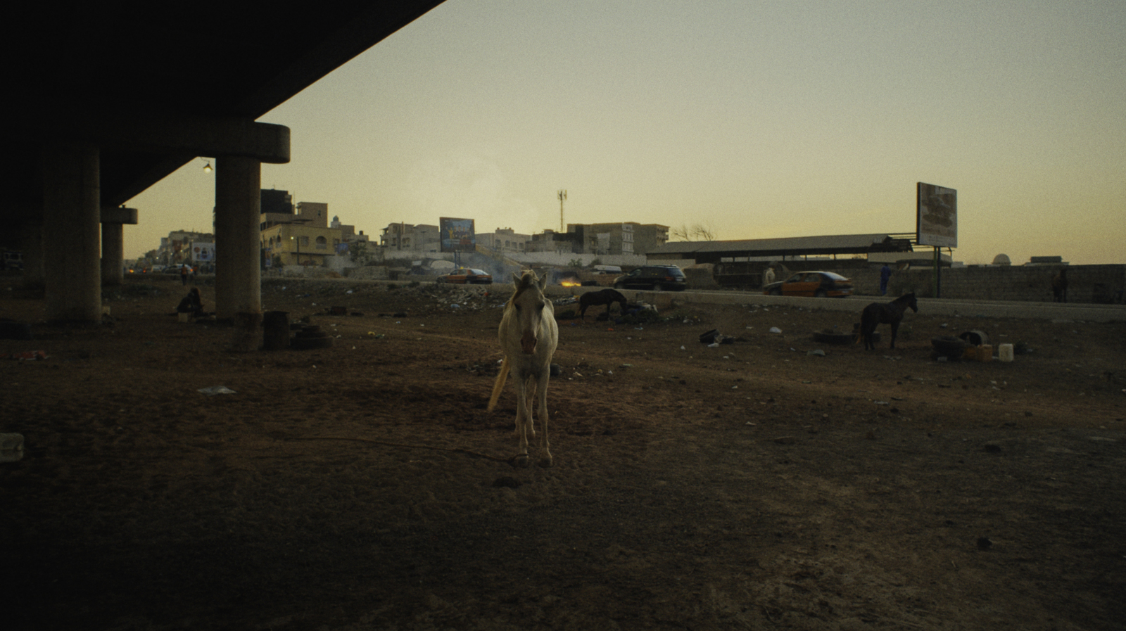 a cow standing in a dirt field next to a building