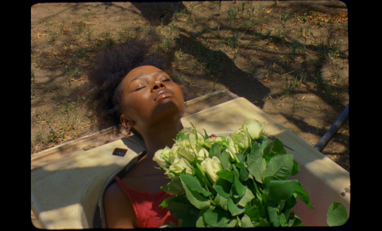 a young girl holding a bunch of green plants