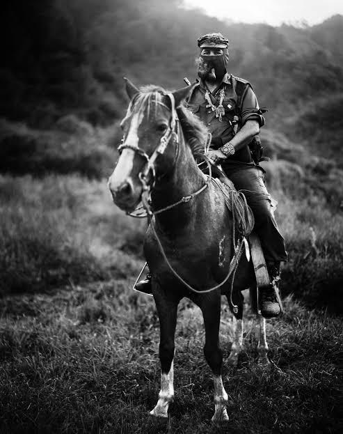 a man riding on the back of a brown horse