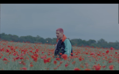 a man standing in a field of red flowers