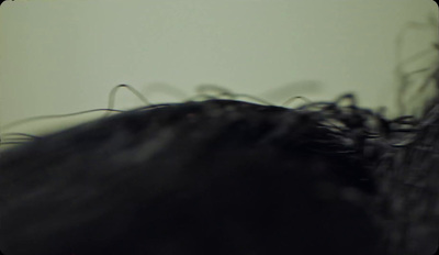 a close up of a bird's head with long hair