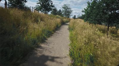 a view of a path through a field of tall grass