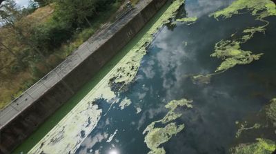 a large body of water with algae growing on it