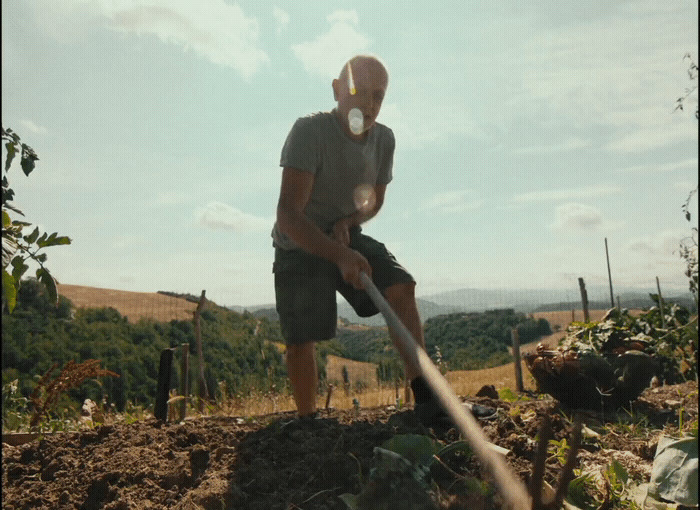 a man holding a baseball bat on top of a dirt field