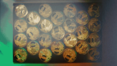 a close up of a box of gold coins