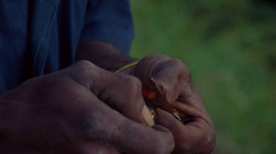 a close up of a person holding something in their hands