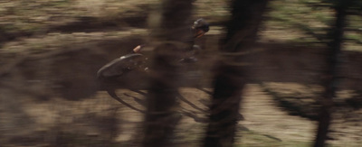 a blurry photo of a person riding a bike in the woods