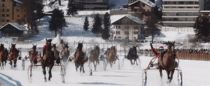 a group of people riding on the backs of horses