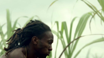 a man with dreadlocks standing in tall grass