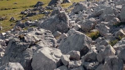 a rocky field with grass and rocks in the foreground