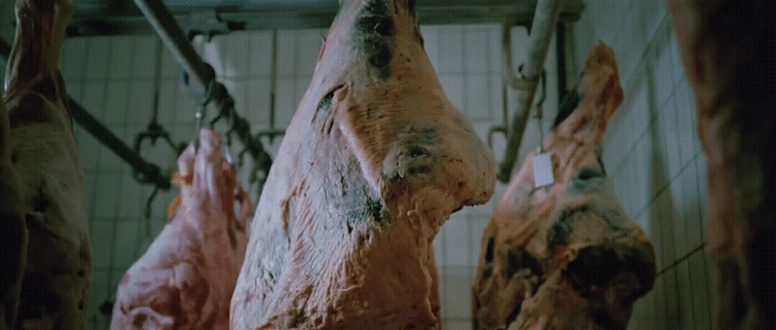 a bunch of raw meat hanging from a line