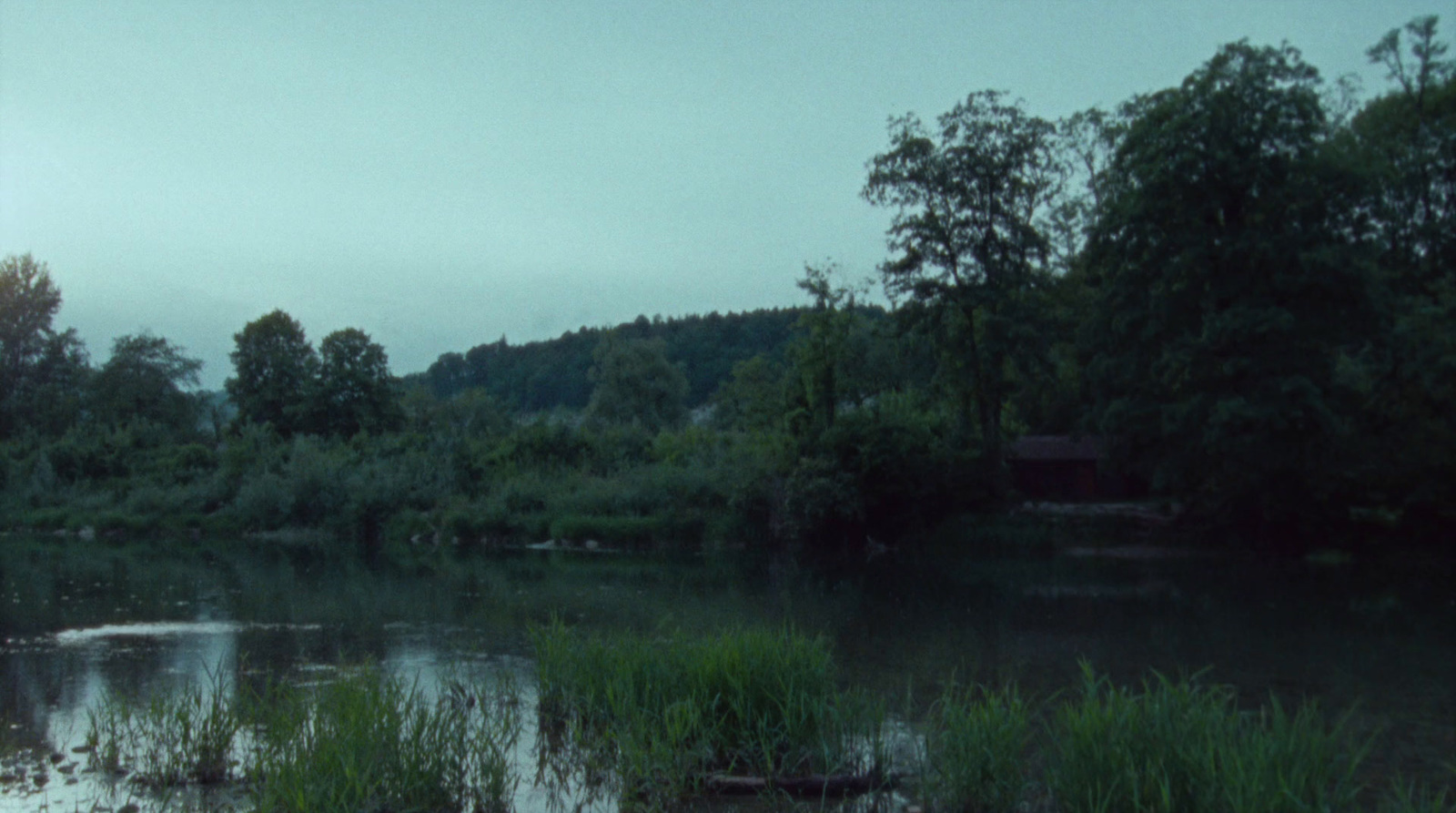 a body of water surrounded by trees and grass