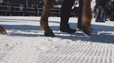 a person walking in the snow with a horse