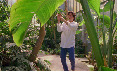 a man walking through a lush green forest