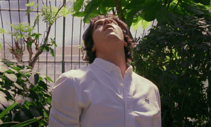 a man in a white shirt looking up at a tree