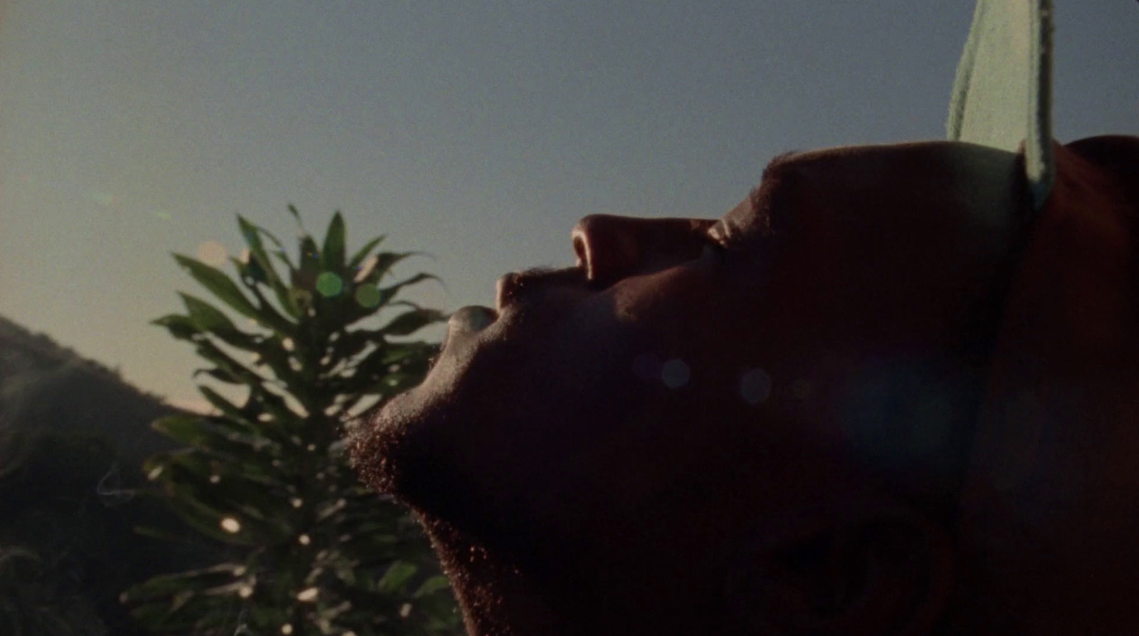 a close up of a person's head with trees in the background