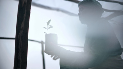 a person holding a candle and a plant