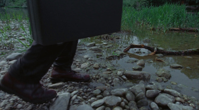 a person standing on a rocky shore next to a river