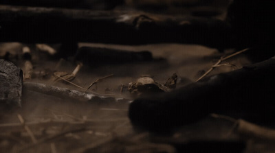 a blurry photo of leaves and rocks on the ground