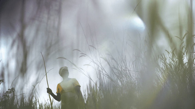 a person standing in tall grass holding a stick