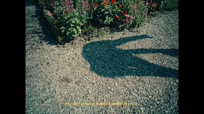 a shadow of a person standing in front of a flower garden