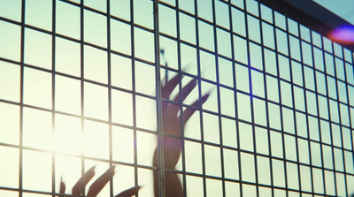 a person's hand through a wire fence