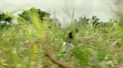 a blurry photo of a person walking through a field