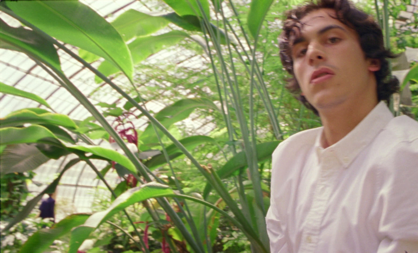 a man standing in front of a lush green plant