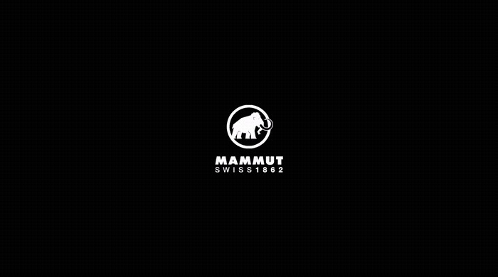 a black and white photo of a mammoth logo