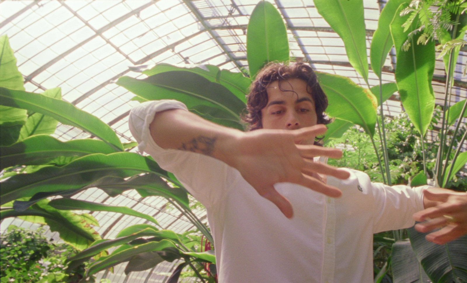 a man with a tattoo on his arm standing in a greenhouse