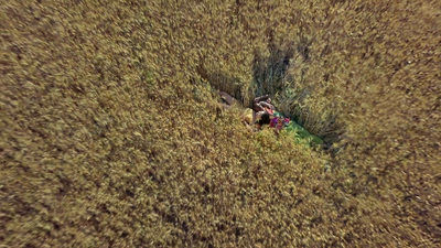 a group of people in a field of tall grass