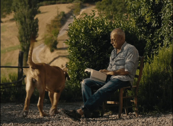 a man sitting in a chair next to a dog