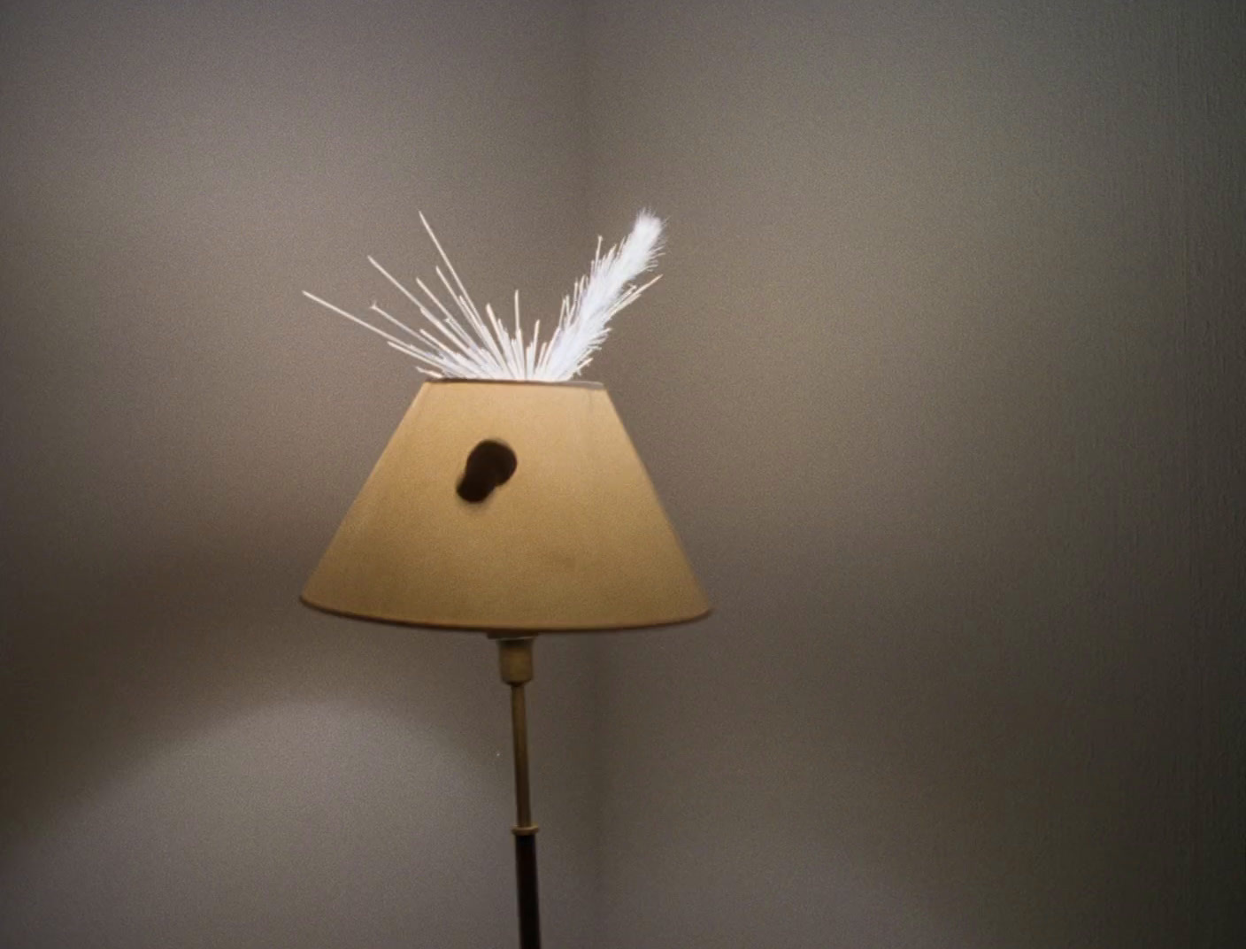 a lamp that has some white feathers on it