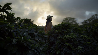 a person in a hat standing in a field