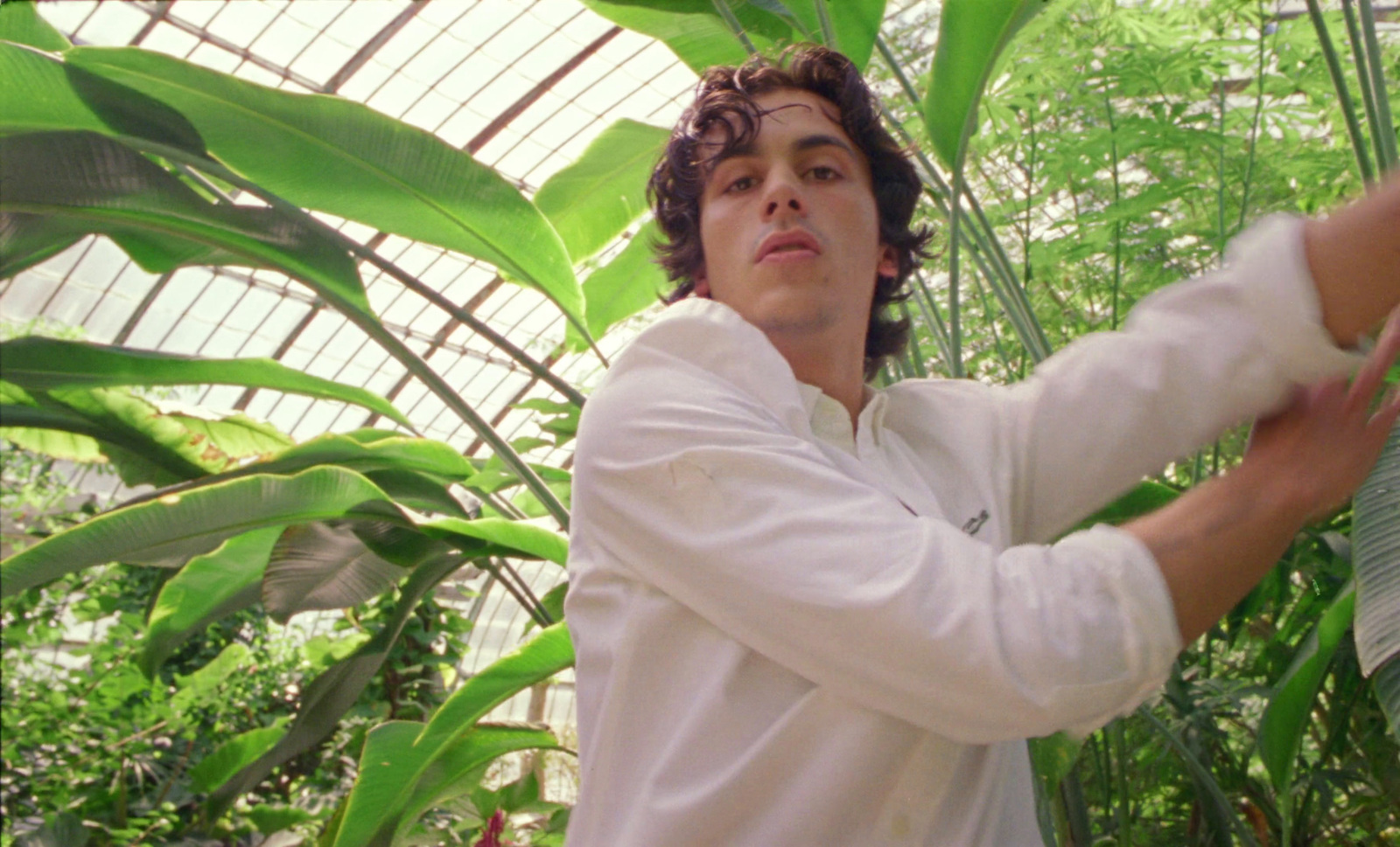 a man holding a plant in a greenhouse