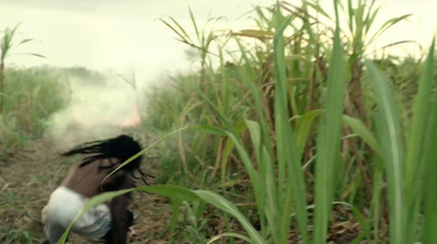 a person walking through a field of tall grass