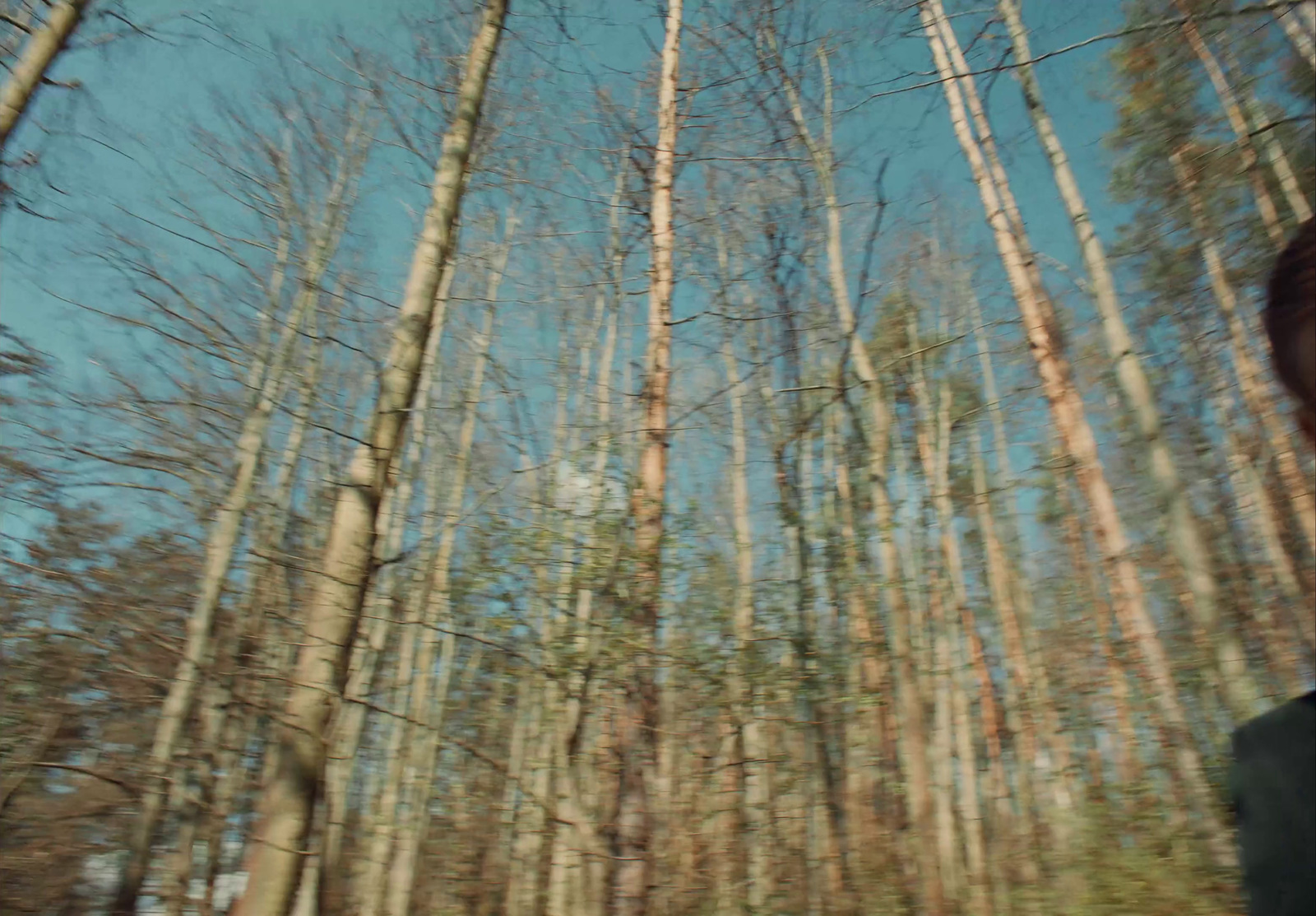 a man riding a motorcycle through a forest filled with tall trees