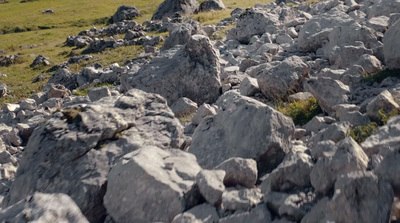 a field with rocks and grass on the side of it