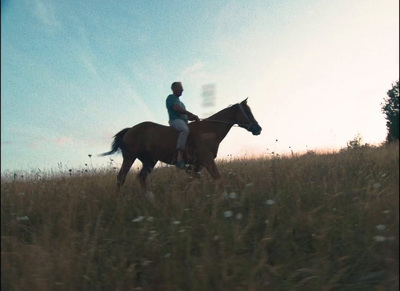 a person riding a horse in a field