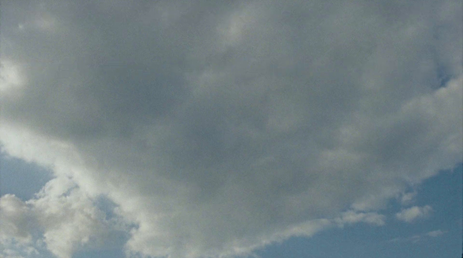 a group of people flying a kite in a cloudy sky